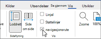 Word navigasjonsrute med avmerkingsboks valgt