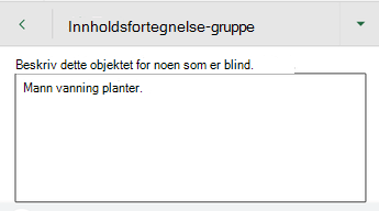 Dialogboksen Alternativ tekst i Excel for Android.