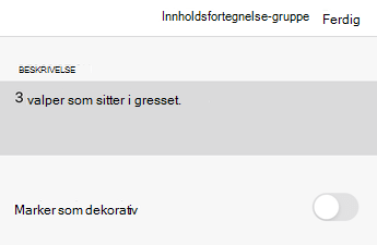 Dialogboksen Alternativ tekst i Excel for iOS.