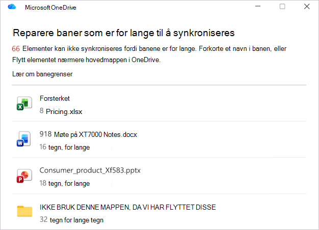 Skjermbilde som viser listen over OneDrive-filbaner.