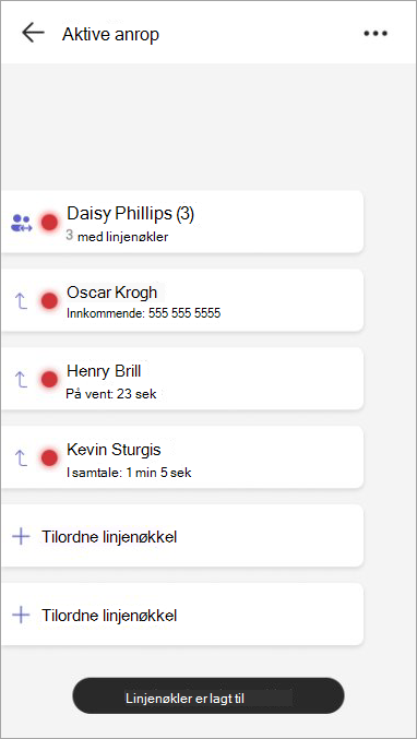 Skjermbilde som viser en delt linje som er tilordnet en linjenøkkel, medlemmene av den delte linjen og samtalestatusen deres.