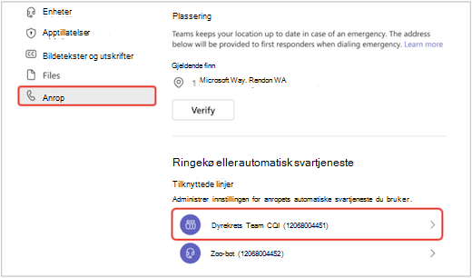 en skjerm i Teams på Innstillinger-menyen