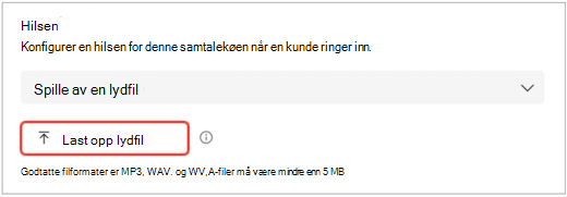 en skjerm i Teams-brukergrensesnittet som viser innstillinger