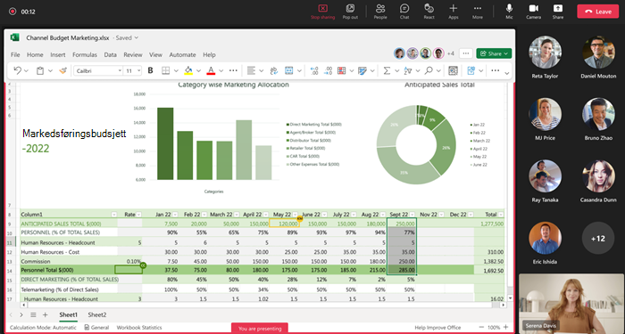 Skjermbilde av presentasjonsskjermen (deleskjermen) under Excel Live-økt i Teams.