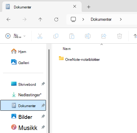 Dokumenter-mappen som viser undermappen OneNote-notatblokk.