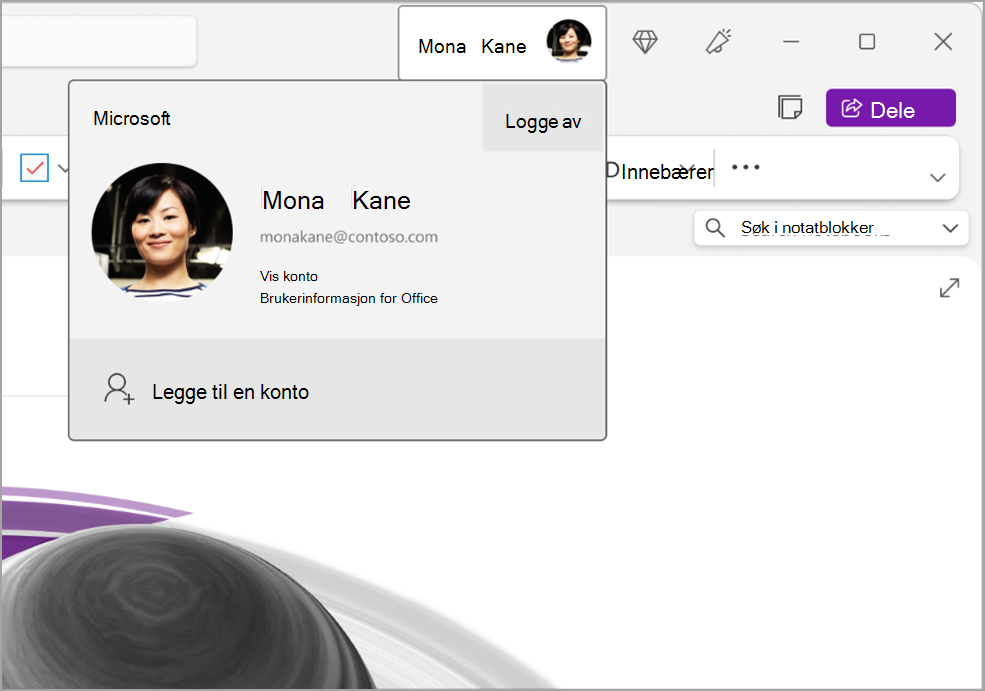navigere i onenote-skjermbilde twelve.png