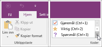 Skjermbilde av listen over koder i OneNote 2016.