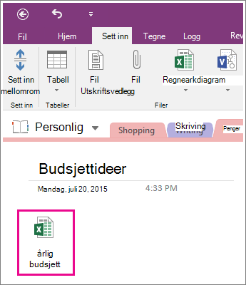 Skjermbilde av et vedlagt regneark i OneNote 2016.