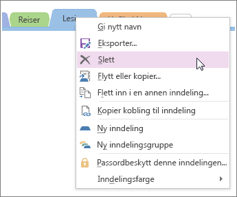 Skjermbilde av hvordan du sletter en inndeling i OneNote 2016.