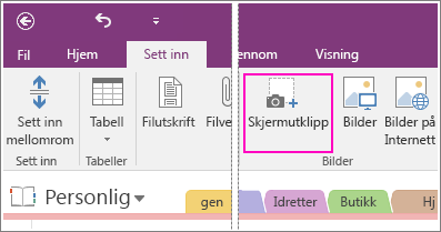 Skjermbilde av knappen Sett inn skjermutklipp i OneNote 2016