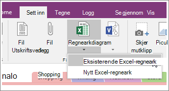 Skjermbilde av knappen Sett inn regneark i OneNote 2016.