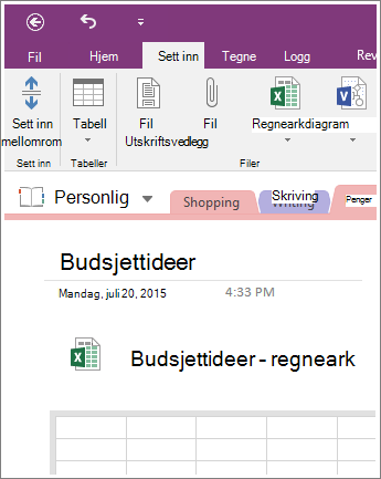 Skjermbilde av et nytt regneark i OneNote 2016.