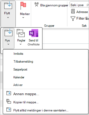 Velg et slettet element du vil gjenopprette, og bruk deretter Flytt-knappen på båndet til å flytte det til en annen mappe.