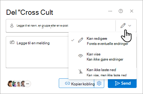 Del-dialogboksen viser alternativer for en delt fil.