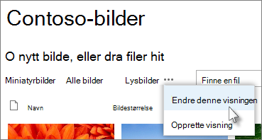 Vise bilder