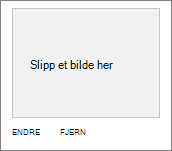 Utvalg av bakgrunnsbilde for å endre utseende i SharePoint