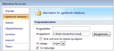 Gi programmet et egendefinert ikon