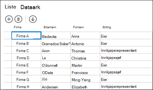 Dataarkvisning som viser kundeoppføringer