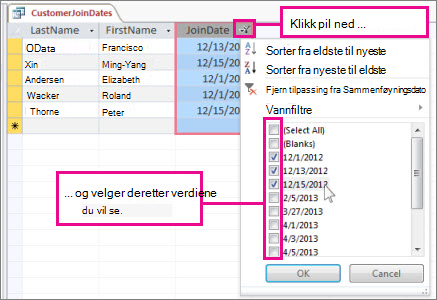 Filtrere en spørringskolonne i en skrivebordsdatabase.