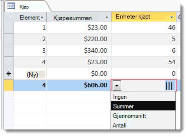 totalrad med funksjoner for sum og antall