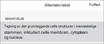 Dialogboksen Alternativ tekst for bilder i OneNote for iOS.