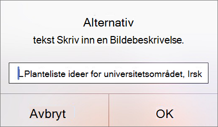 Alternativ tekst for bildemenyen i Outlook for iOS