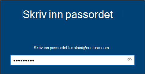 Skjermbildet Skriv inn passordet