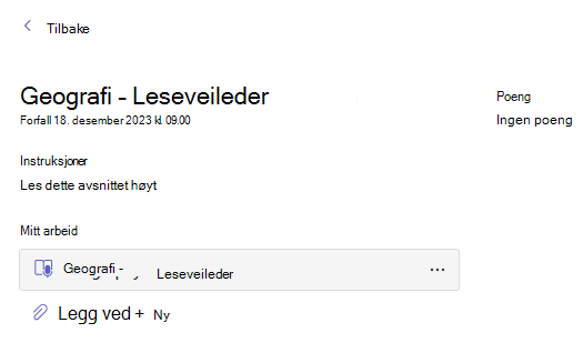 Skjermbilde som viser karakter