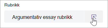 Elevene kan se rubrikken selv