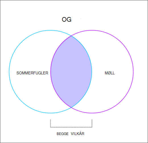 Venn-diagram som viser hvordan operatoren AND fungerer