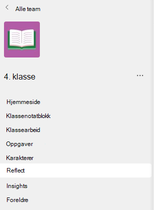 Skjermbilde av Støtte-menyen.