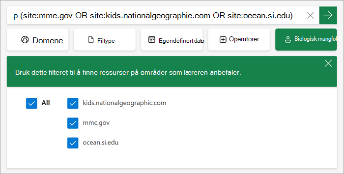 skjermbilde av hvordan det egendefinerte filteret vises for elevene når det er på.