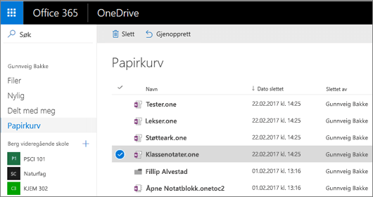 OneDrive-papirkurven med en liste over notatblokksider.