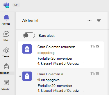 Skjermbilde av aktivitet.