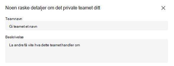 Privat team