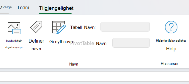 Tilgjengelighetspanel