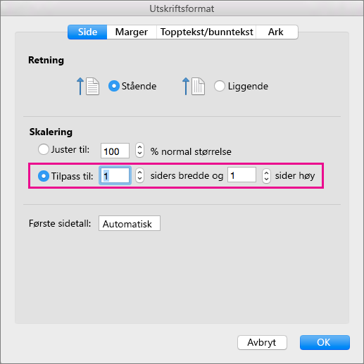 Dialogboksen Utskriftsformat med Tilpass til valgt