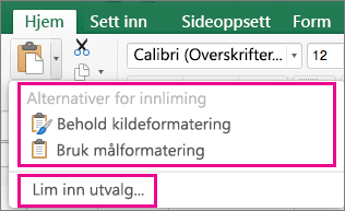 Lim inn, som viser alternativer og Lim inn utvalg