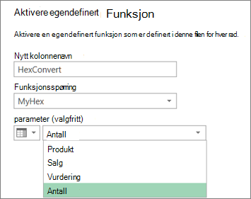 Dialogboksen Aktiver egendefinert funksjon