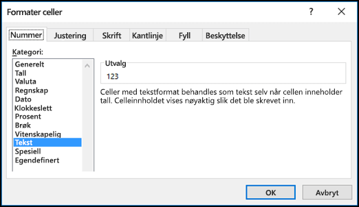 Formater celler-dialogboksen som viser Tall-fanen og Tekst-alternativet som valgt