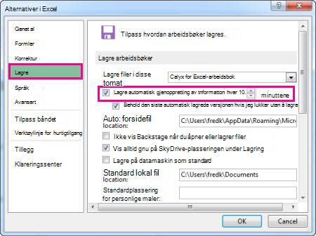 Alternativet Lagre i Alternativer for Excel