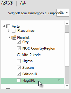 Flagg-URL er lagt til i Verter-tabellen