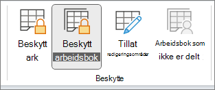 Beskytt arbeidsbok uthevet