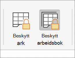 Beskytt arbeidsbok uthevet i macOS