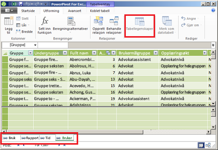 PowerPivot-vindu med faner