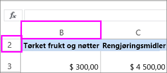 Første kolonne og rad er skjult