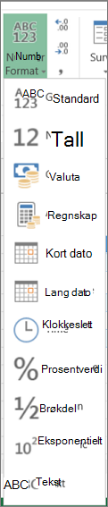Tilgjengelige tallformater