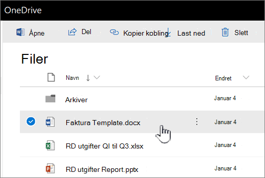 OneDrive med valgt fil