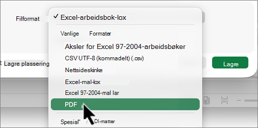 Skjermbilde av valg av Mac-filtype.