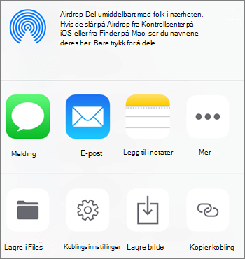 Skjermbilde av knappen Lagre bilde i OneDrive-appen på iOS